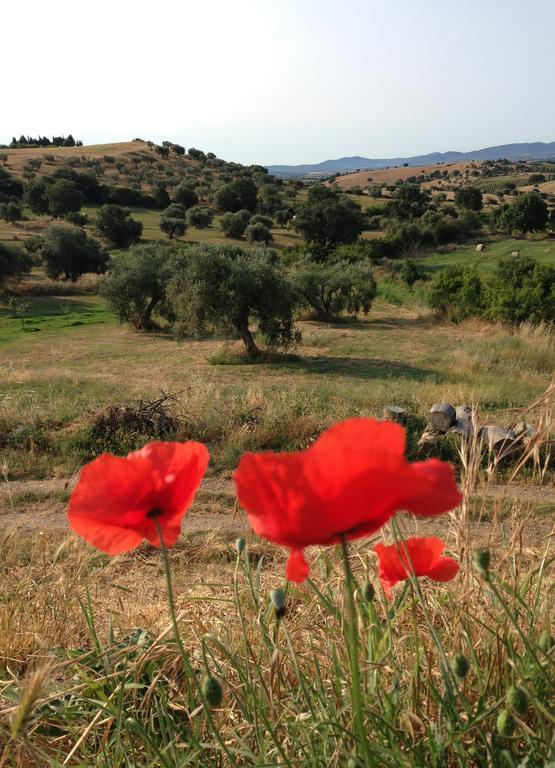 Agriturismo Prati Degli Orti モンティアーノ エクステリア 写真
