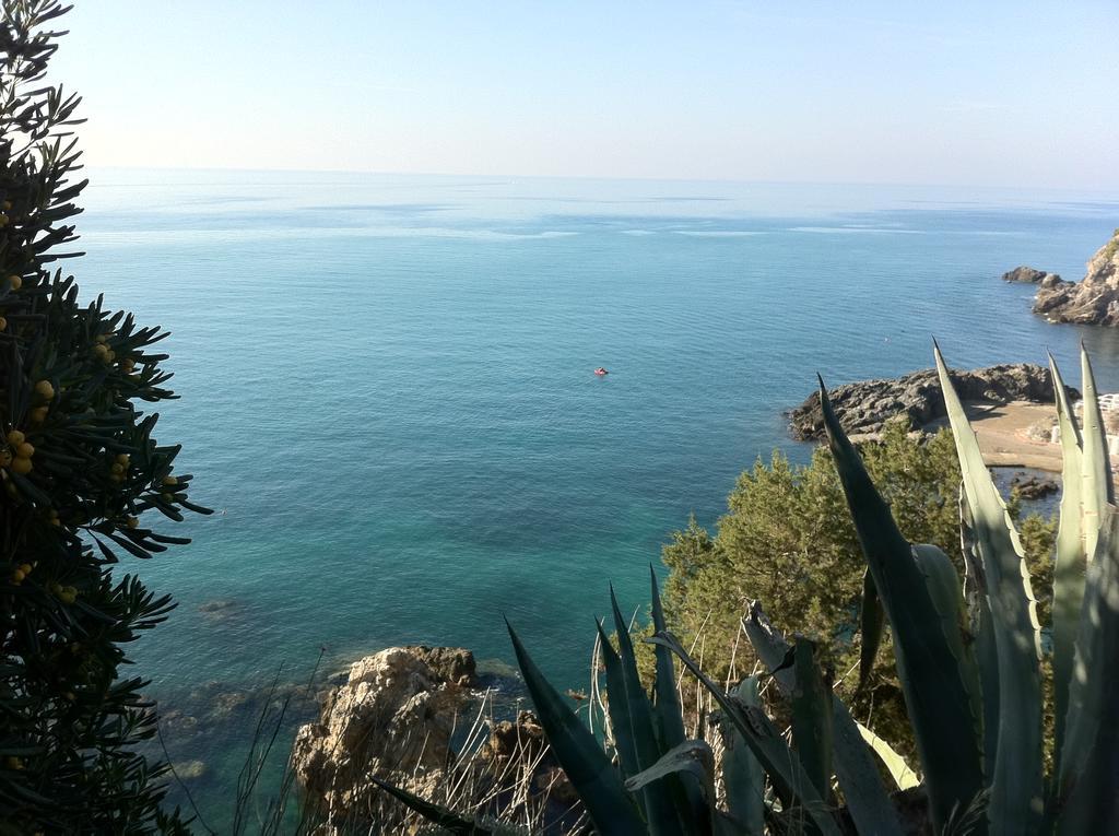 Agriturismo Prati Degli Orti モンティアーノ エクステリア 写真