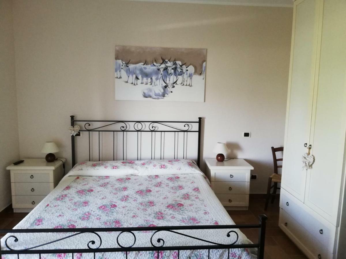 Agriturismo Prati Degli Orti モンティアーノ エクステリア 写真